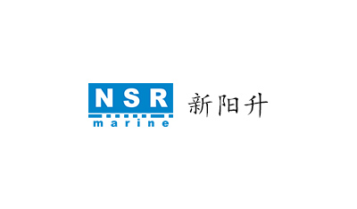 新疆新阳升科技股份有限公司